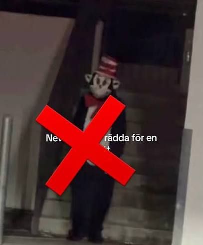 „Katinas su skrybėle“ Švedijos mokyklose: kas slypi už „TikTok“ grasinimų ir ką turi žinoti tėvai?